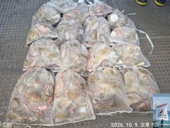 9일 돌문어 조황.(내일 몇자리 여유 ~ )