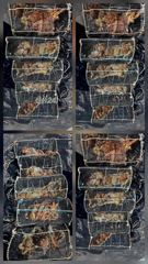 [진해] 칠성호 돌문어 씨알 마릿수 괜찮네요 ~