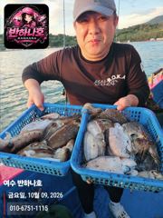 (여수 반하나호)