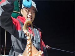 야간문어 덩치들~