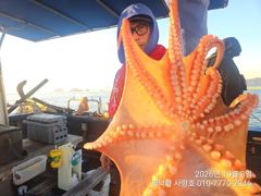 [진해] "돌문어" 1600g1400g1200g1100g1000g외 대물…