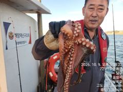 돌문어2ķgʻ오버