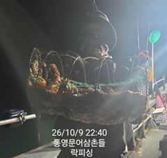 [통영] (문어)야간 大성공 전원 망탱이 마릿수 폭팔~락피싱(야간 예약)