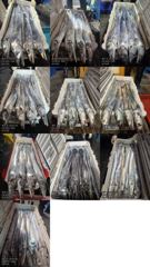 [[제주 뉴그린호(1호) 10월 9일 야간갈치 조황]]