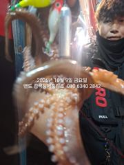 9일 홈런호 주간문어 마무리 조황 입니다