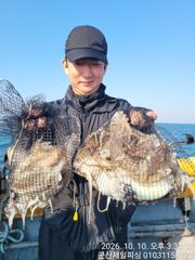 ⭐군산제일피싱호 10/10갑오징어조황 월요일부터 출조여유요 ⭐