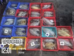 [통영] [팁런]k.k. 와전무시급들(일요일 출항확정.자리널널)