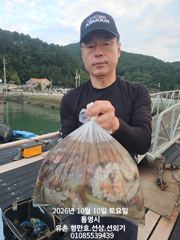 유촌 형만호 선상 문어 마리수 조황입니다 내일자리여유