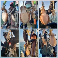 [무창포아파치호] 10월10일(토), 오늘도 쭈갑들로 망태기 풍성한 조황입니다~ 다음주 12일(월)부터 자리여유, 전화주세요~ 010-8422-0866