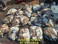 9일 썬크루즈호 갑오징어 다녀왔습니다 사진