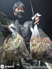토요일 야간문어 대박터졌습니다
