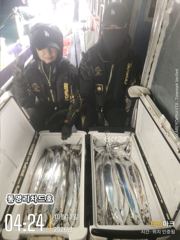 10/10 갈치(텐빈,텐야) 용가뤼~ 4수 4지~3지~ 마릿수~…