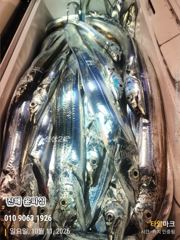 10월10일 입항 먼바다 텐빈조황