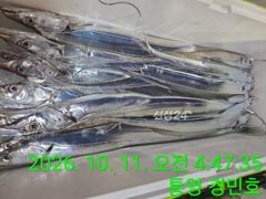 [통영] 11일 입항 조항