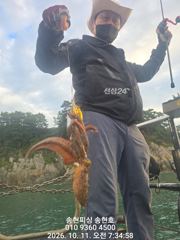통영 송현호))돌문어 실시간 트리플 히트! 오늘도 호조황