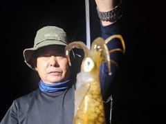 [진해] 무늬팁런 씨알에 꾸준한 마리수로 퍽~퍽 예약가능 사진