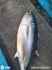 제주 희성호 10월10일 조황