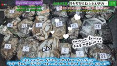 10월11일 홍원항힐링호 쭈반갑반^^ 조황~!쭈갑애들 괜찮네요ㅎㅎ장원8kg~ 2등7.1kg 부부조사님 10kg오바~오늘도 손맛들 보시고 먹물파티하고왔습니다ㅋㅋ수고들 많으셨습니다~ 사진