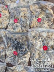 11일 오후반