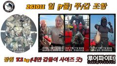 루어파이터호-10/11 일 [7물] 쭈꾸미/갑오징어 조항 입니다.