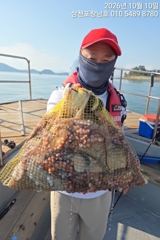 3시간전 [사천] 10월 11일 야간 돌문어 조황!! 오늘 야간에도 출조 확정!!