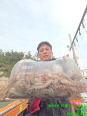 10.11 사리에 문어조황