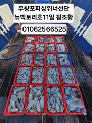 [쭈갑조황] 10월11일 뉴빅토리호 갑오징어