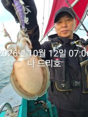 12일, 군산은 갑오징어 천국~싸이즈 굿~오늘도 굿~실시간~~군산낚시프라자 나드리호 사진