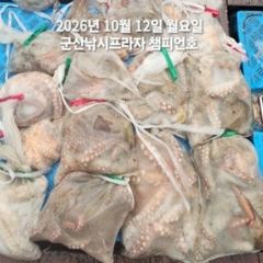 12일, 군산 왕문어 ~덩치급 왕문어~연일 계속~내일도 갑니다~군산낚시프라자 챔피언호 사진