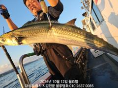 12/월ㅡ피딩타임 대삼치들, 중방어들ㅡ많은 마릿수 랜딩! 사진