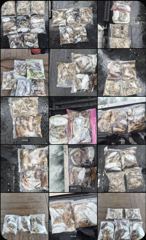 < 팀 인천 루키나 >> 10. 12. 8물 << 루키나 2호 이경규,권은비 주꾸미 출조 >> 사진