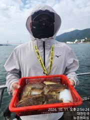 내일 왕갑이 6분예약중 출조확정 입니다 자리여유 많습니다 갑오징어 씨알이 엄청좋아졌네요 사진