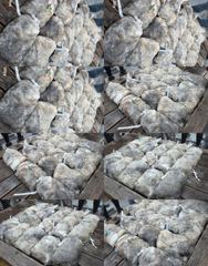 <자연호> 쭈+갑 오후 마무리 조황(12일)-열낚하고 입항했습니다~! 사진