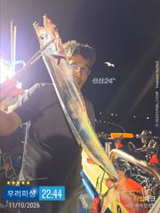 준내만갈치(텐야. 텐야) 조황입니다. 사진