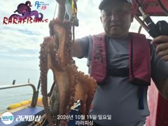 [진해] (야간문어) 화수.목.예약가능 화욜 문어잡으러 고고~