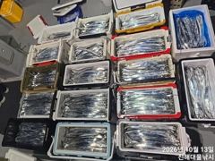 와우~13일새벽,내만칼치4지급 용가리 어마어마하게 퍼담고~초대박.수,목욜예약가능~