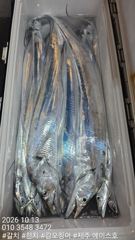 [제주] 제주에이스호!!(10월12일) 대갈치 사냥다녀왔습니다010 35…