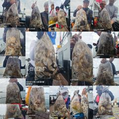 쭈꾸미 피딩! 평일 오전11시~주말 오전6시 30분 출항