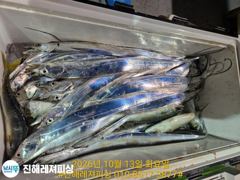 내만칼치ㅡ씨알.마릿수 초대박~어마어마하게 퍼담고(수요일 예약가능)