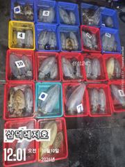 [팁런]대물시즌,k,k,.무시급들(목요일출항확정)