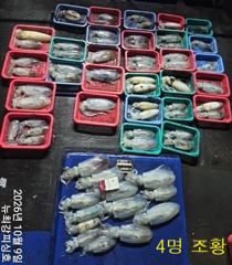 키로/키로급 왕무시들 수두룩!!! 내일 출동합니다!!!