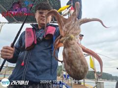 [진해] (야간문어) 금.토.일.예약가능 쪽쪽 덩치들 잡으로 갑니다