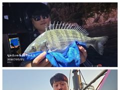 [거제] 어초ㆍ여밭감성돔 43.42.40이하 팅~ 뺀찌~~
