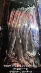 (로드피싱)갈치 미쳤음!5지,4지,3지반/만쿨 만쿨~!!