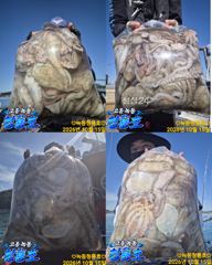 <고흥녹동> 청룡호 15일 돌문어 조황소식!!