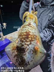 겁나게 큰~~무늬오징어 1,6kg 주간 대삼치및방어. 야간 무늬오징어 예약중입니다