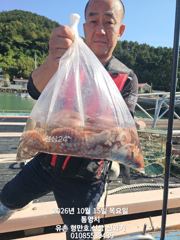 유촌 형만호 선상 문어 키로급에 마리수 내일 자리여유 사진