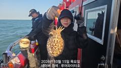 10/15 목 [11물] 쭈꾸미/갑오징어 조항 입니다.