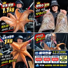삼천포 원도권 야간문어! 사이즈도 굿! 마릿수도 대박! 삼천포 박프로(흑진호)