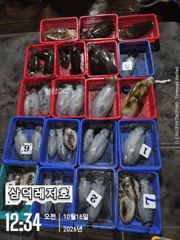 [텐빈]k, 완전,무시급들(금요일,갈치"텐빈"토요일,무늬출항확정)
